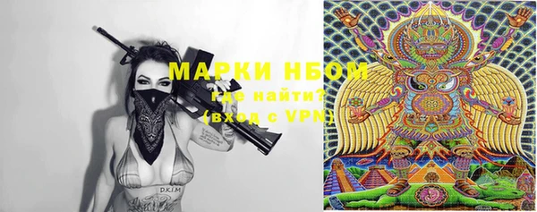 хмурый Алексин