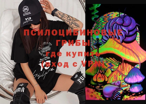 хмурый Алексин