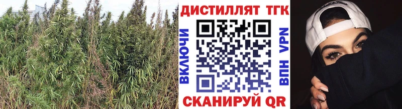 ТГК вейп Приморск